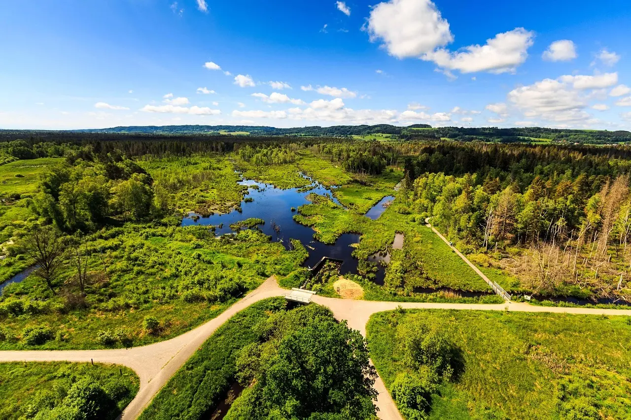 Medvirkende i Den Som Dræber