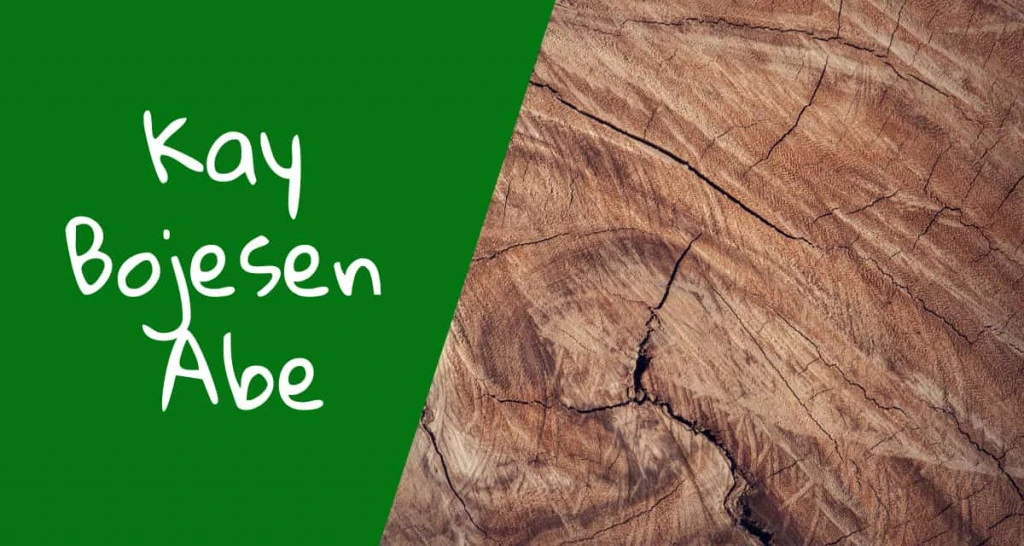 Kay Bojesen Abe – aben med sin egen personlighed